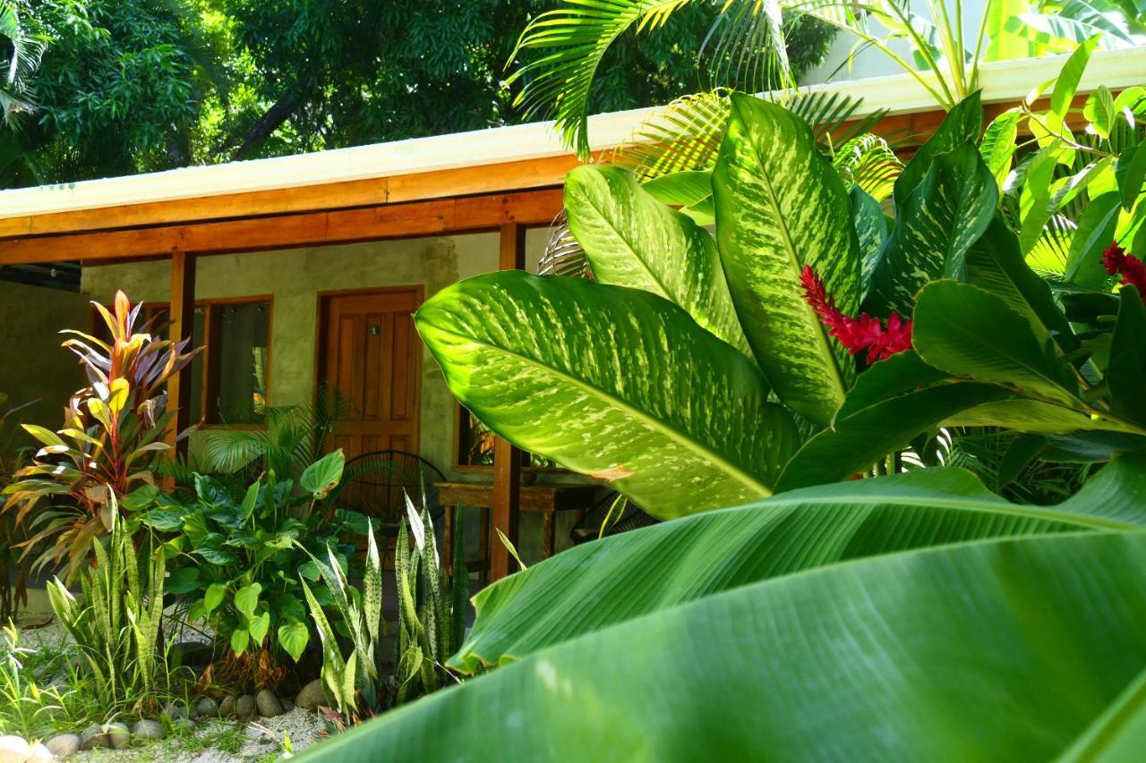 Cabinas Playa Surf Hostel Playa Santa Teresa  Kültér fotó