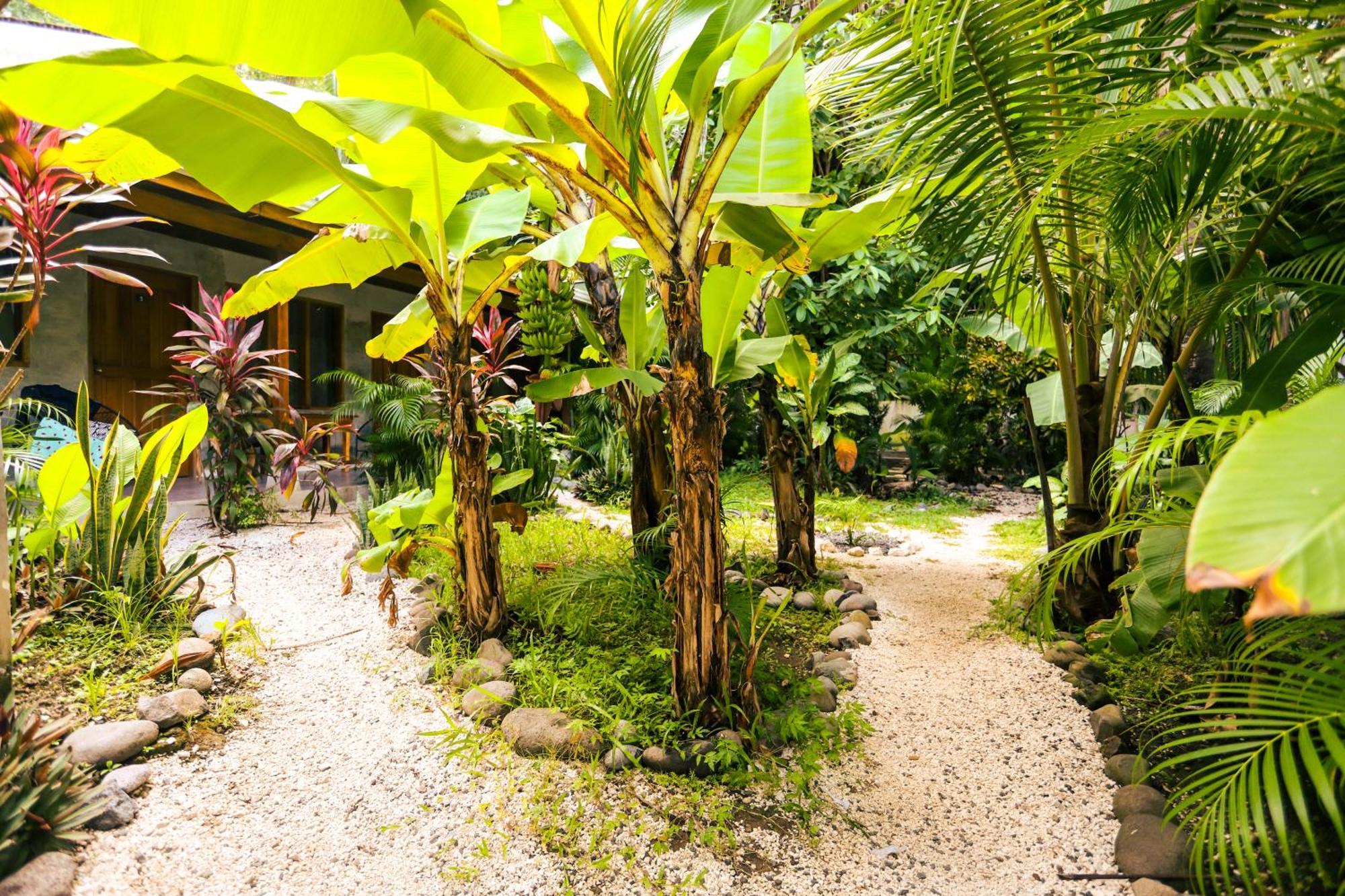 Cabinas Playa Surf Hostel Playa Santa Teresa  Kültér fotó
