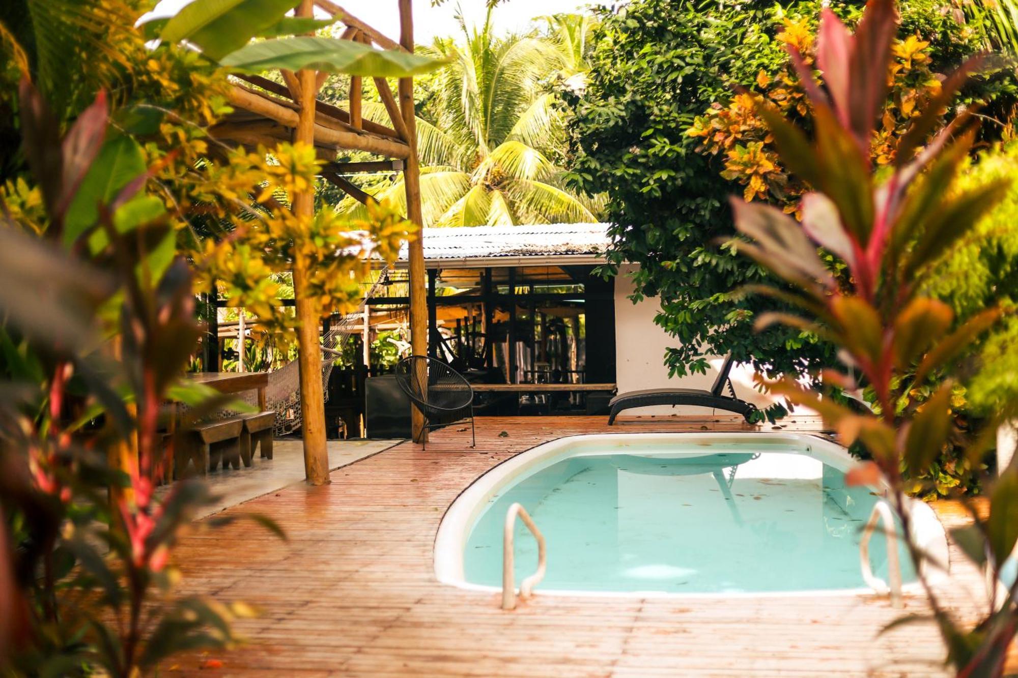 Cabinas Playa Surf Hostel Playa Santa Teresa  Kültér fotó