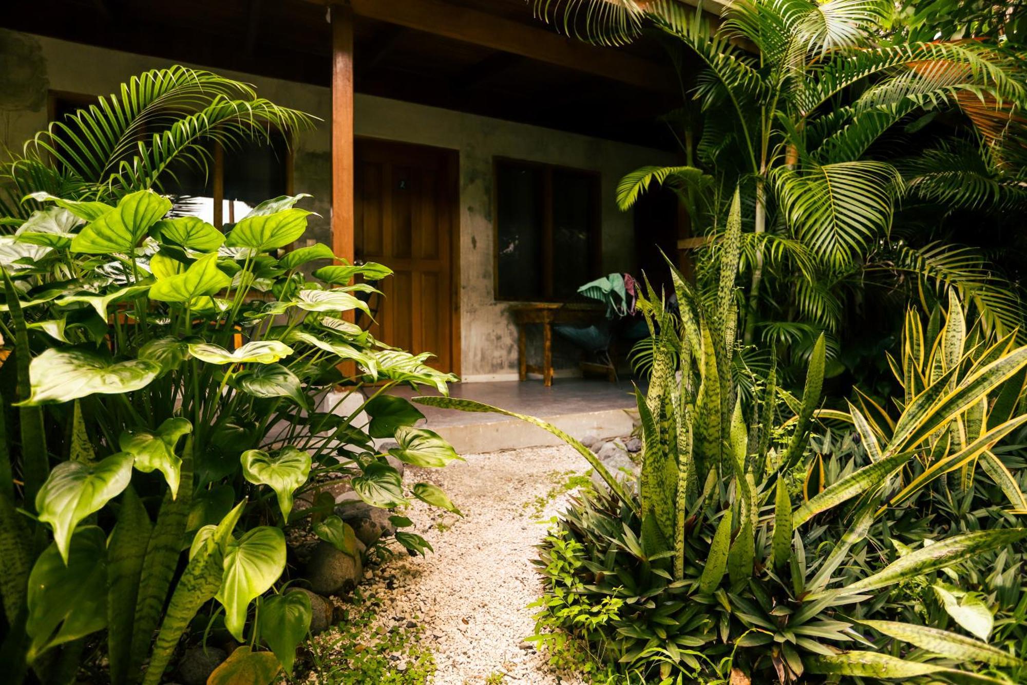 Cabinas Playa Surf Hostel Playa Santa Teresa  Kültér fotó